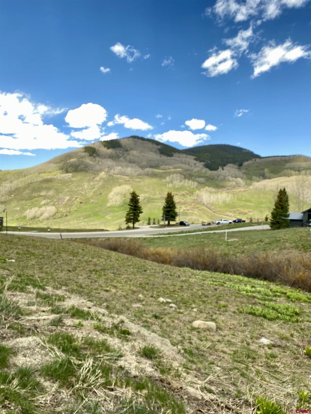 18 Cinnamon Mountain Rd, Mount Crested Butte, CO 81225