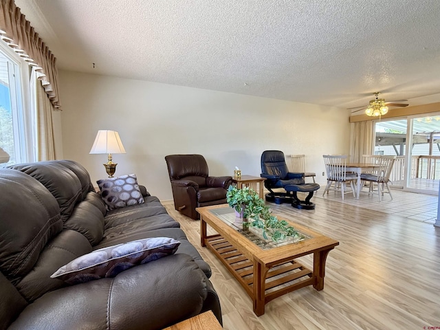 2020 Essex St, Montrose, CO 81401 - living area with a textured ceiling, a ceiling fan, and light wood finished floors