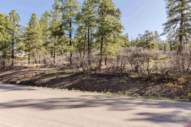 106 Granada Dr, Pagosa Springs, CO 81147