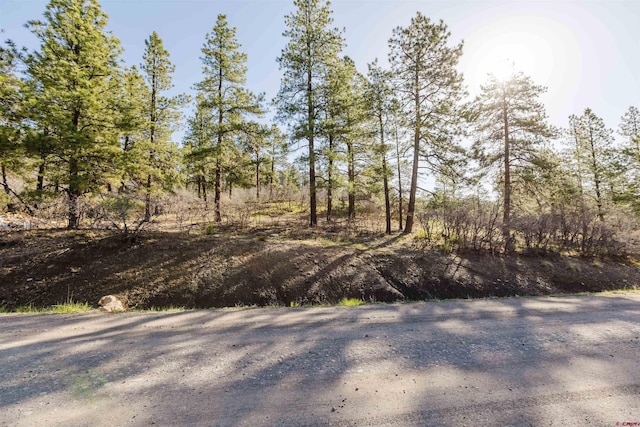 106 Granada Dr, Pagosa Springs, CO 81147