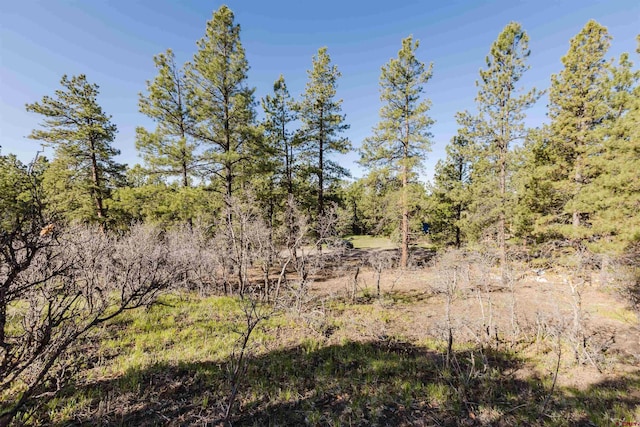 106 Granada Dr, Pagosa Springs, CO 81147