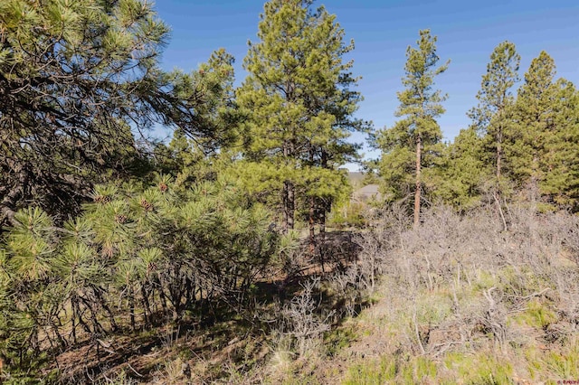 106 Granada Dr, Pagosa Springs, CO 81147