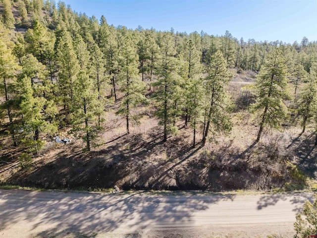 106 Granada Dr, Pagosa Springs, CO 81147