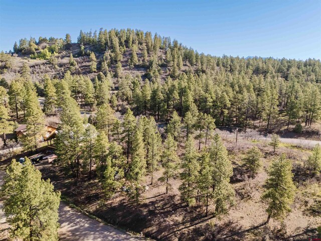 106 Granada Dr, Pagosa Springs, CO 81147