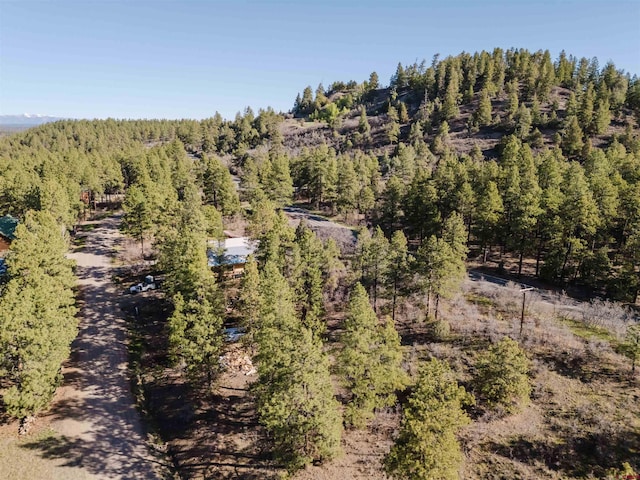 106 Granada Dr, Pagosa Springs, CO 81147