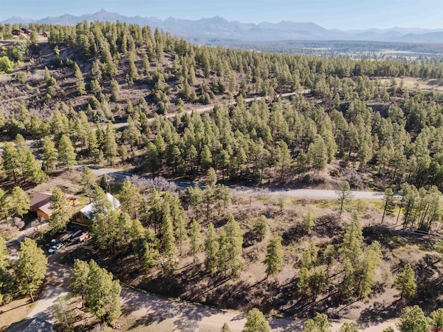 106 Granada Dr, Pagosa Springs, CO 81147