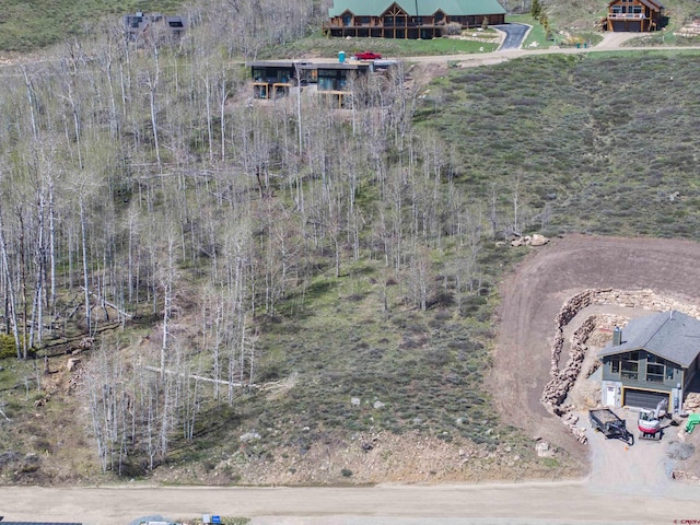 263 Anderson Dr, Crested Butte, CO 81224