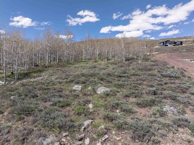 263 Anderson Dr, Crested Butte, CO 81224