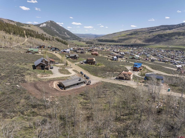 263 Anderson Dr, Crested Butte, CO 81224