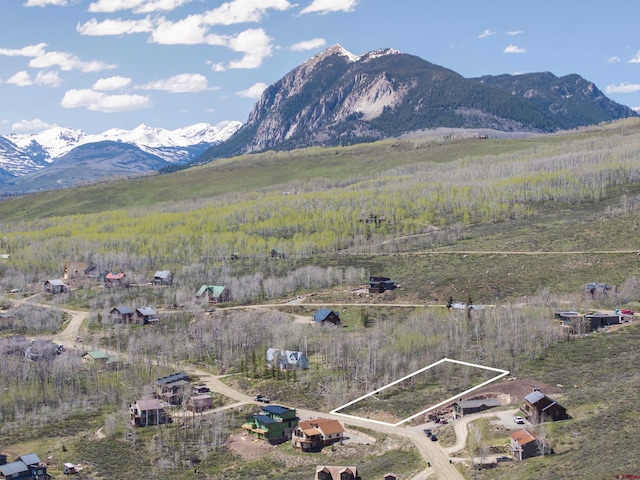 263 Anderson Dr, Crested Butte, CO 81224