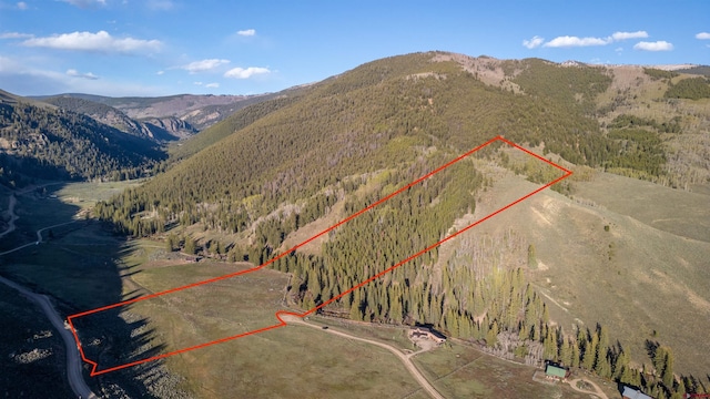 158 Clark Way, Crested Butte, CO 81224