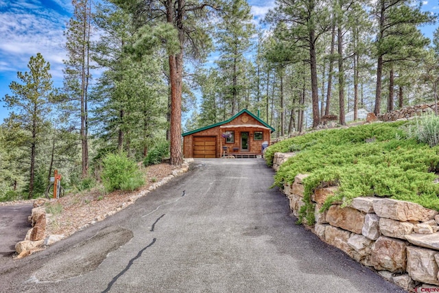 520B Whispering Wood Dr, Pagosa Springs, CO 81147 - garage with driveway