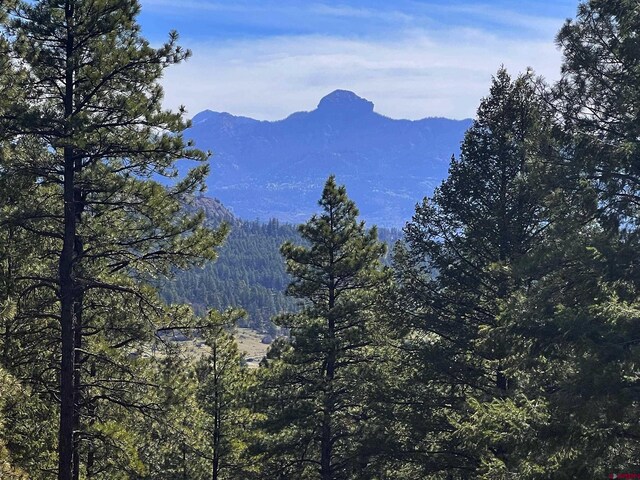 520B Whispering Wood Dr, Pagosa Springs, CO 81147 - view of mountain backdrop with a heavily wooded area
