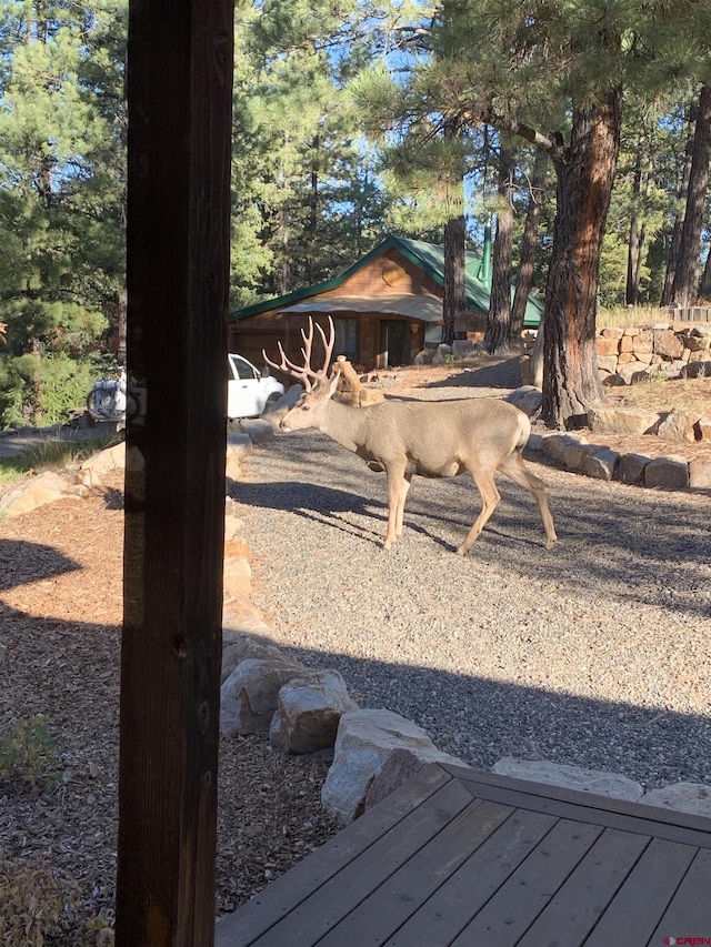 520B Whispering Wood Dr, Pagosa Springs, CO 81147 - view of yard