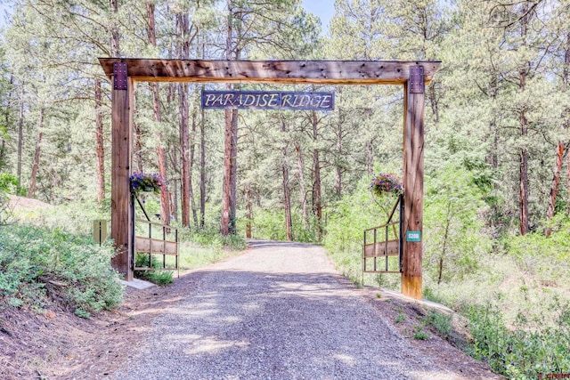 520B Whispering Wood Dr, Pagosa Springs, CO 81147 - view of dirt / gravel road with a forest view
