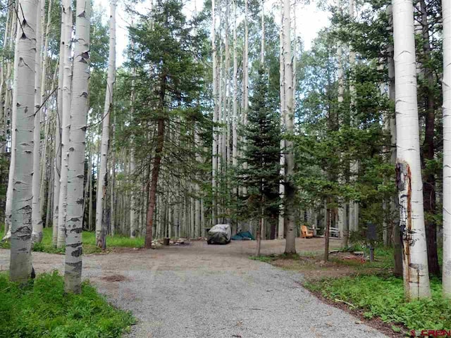 602 Columbine Dr, Cimarron, CO 81220