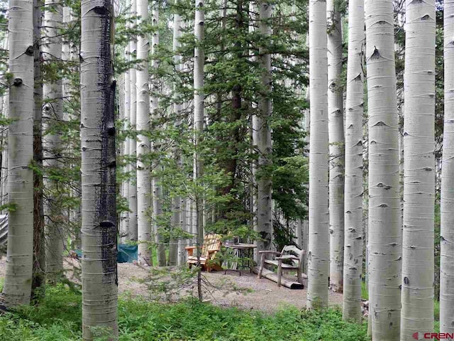 602 Columbine Dr, Cimarron, CO 81220