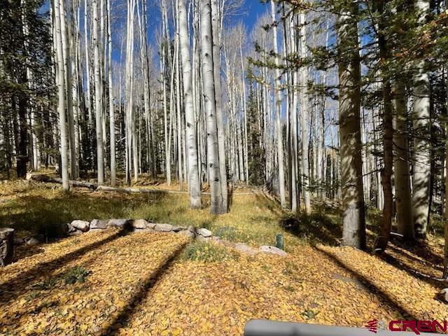 602 Columbine Dr, Cimarron, CO 81220