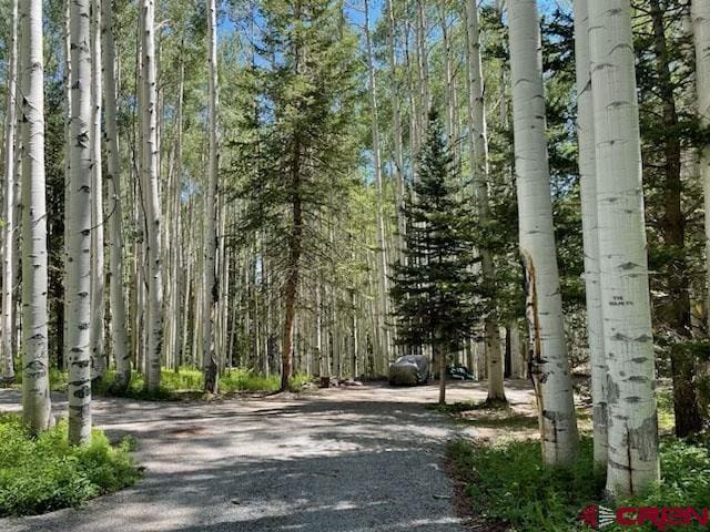 602 Columbine Dr, Cimarron, CO 81220