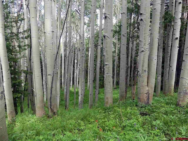 602 Columbine Dr, Cimarron, CO 81220