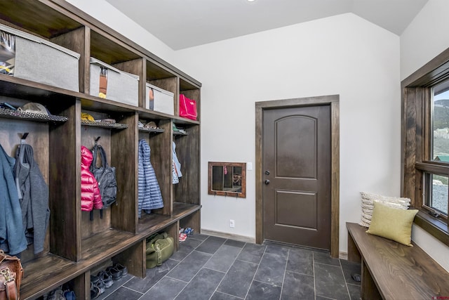 156 Zeligman St, Crested Butte, CO 81224 - mudroom with baseboards, plenty of natural light, and lofted ceiling