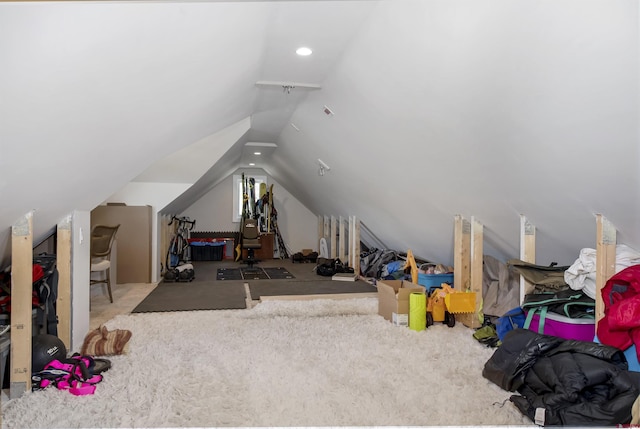 156 Zeligman St, Crested Butte, CO 81224 - view of attic