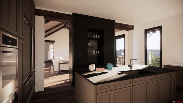 1620 Red Mountain Ranch Rd, Crested Butte, CO 81225 - kitchen featuring a sink, oven, dark wood-style floors, dark countertops, and a center island with sink