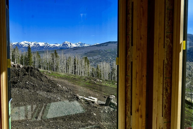 1620 Red Mountain Ranch Rd, Crested Butte, CO 81225 - view of mountain backdrop