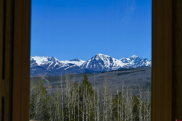 1620 Red Mountain Ranch Rd, Crested Butte, CO 81225 - view of mountain background
