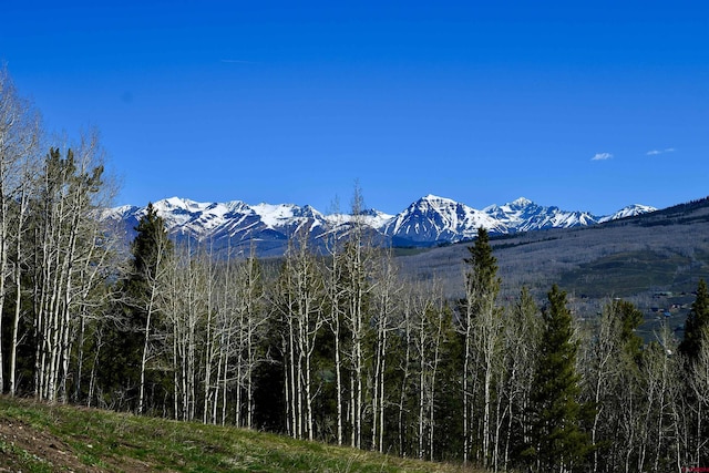 1620 Red Mountain Ranch Rd, Crested Butte, CO 81225 - view of mountain background with a heavily wooded area