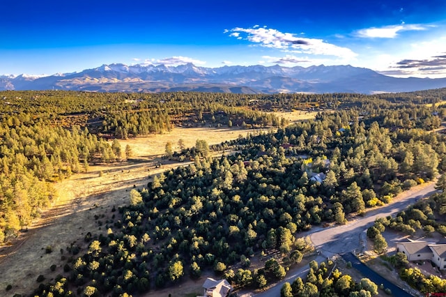 206 Woodchuck Pl, Ridgway, CO 81432
