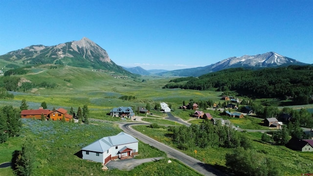 405 Meridian Lake Dr, Crested Butte, CO 81224 - mountain view