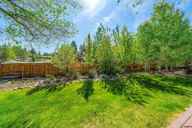 125 Ball Ln, Durango, CO 81301 - view of yard