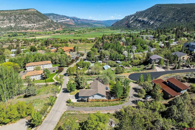 125 Ball Ln, Durango, CO 81301 - view of property location featuring a mountain backdrop