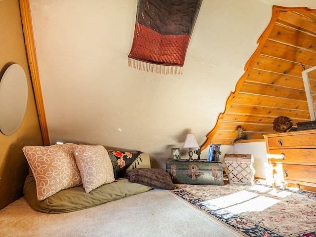 201 10th St, Crested Butte, CO 81224 - view of carpeted living room