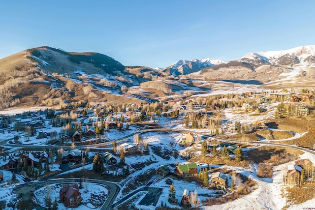 35 Emmons Rd Unit 11, Mount Crested Butte, CO 81225 - view of mountain background