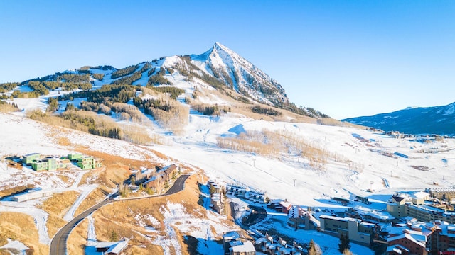 35 Emmons Rd Unit 11, Mount Crested Butte, CO 81225 - mountain view
