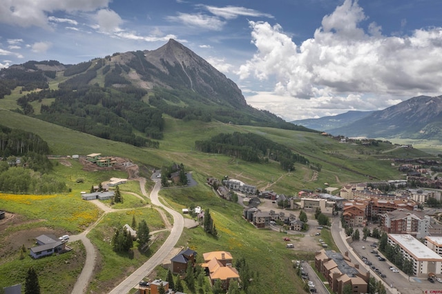 41 Whetstone Rd, Mount Crested Butte, CO 81225
