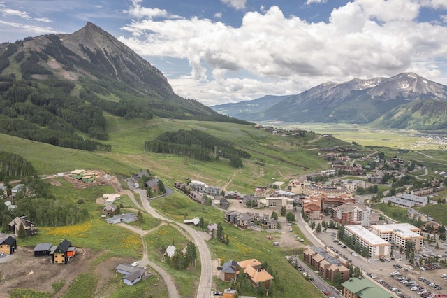 41 Whetstone Rd, Mount Crested Butte, CO 81225