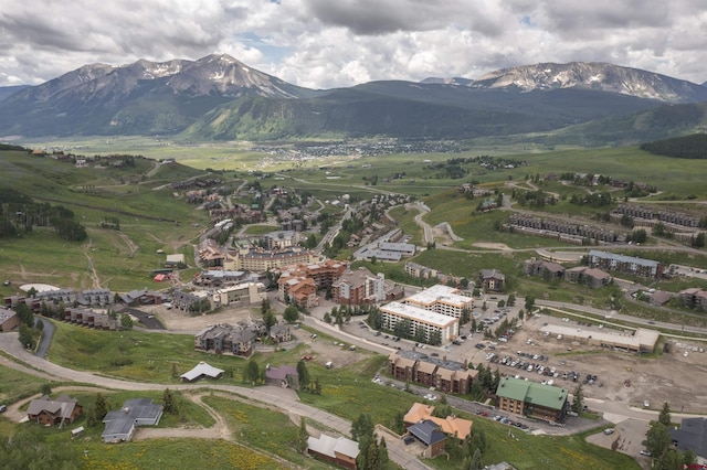 41 Whetstone Rd, Mount Crested Butte, CO 81225