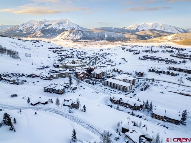 41 Whetstone Rd, Mount Crested Butte, CO 81225