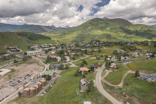 41 Whetstone Rd, Mount Crested Butte, CO 81225