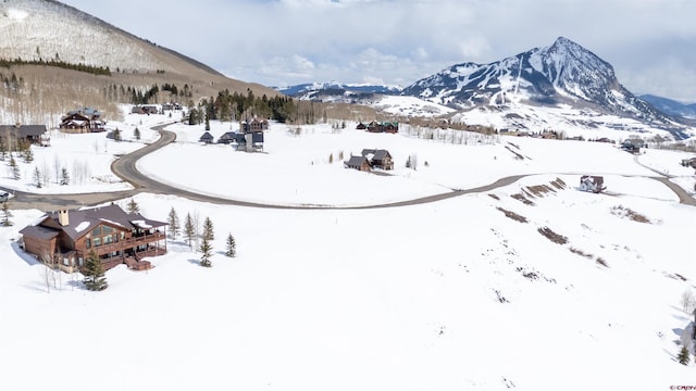 389 Meadow Dr, Crested Butte, CO 81224