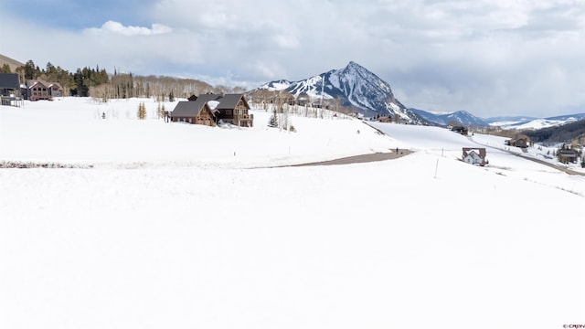 389 Meadow Dr, Crested Butte, CO 81224