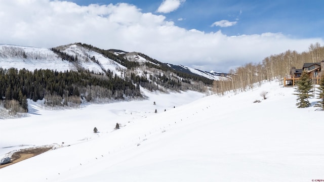 389 Meadow Dr, Crested Butte, CO 81224