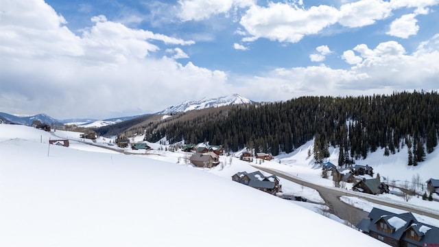 389 Meadow Dr, Crested Butte, CO 81224