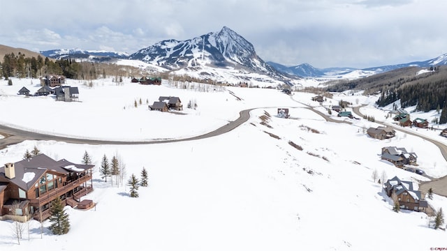 389 Meadow Dr, Crested Butte, CO 81224
