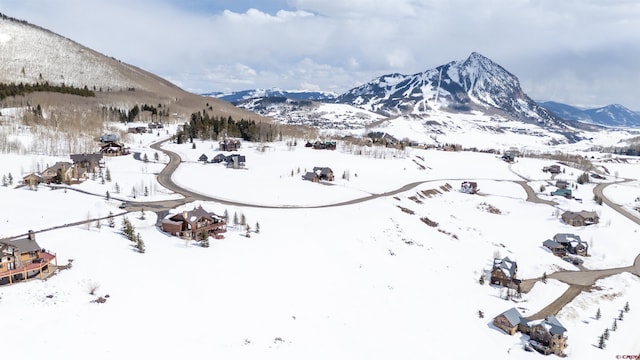 389 Meadow Dr, Crested Butte, CO 81224