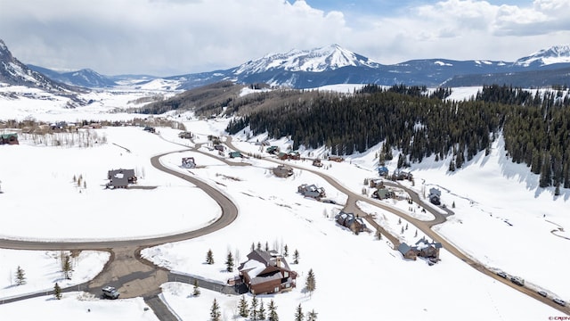 389 Meadow Dr, Crested Butte, CO 81224