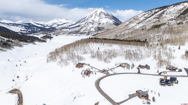 389 Meadow Dr, Crested Butte, CO 81224